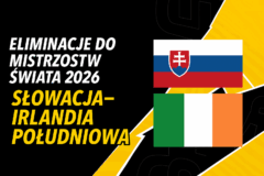 Eliminacje do MŚ 2026: Słowacja – Irlandia Południowa